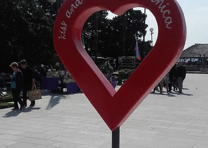 Vives *